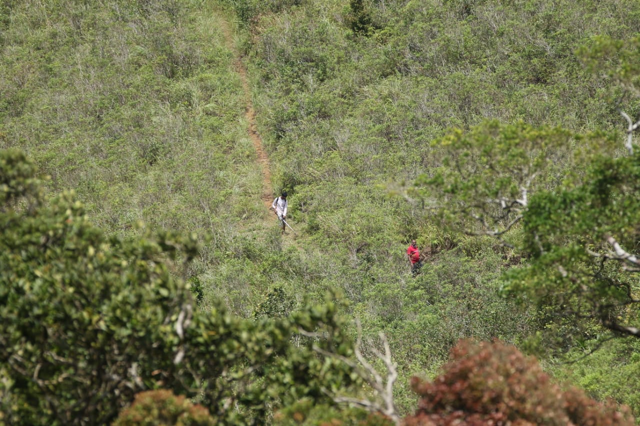 LEN Large scale LRC land grab around Sinharaja