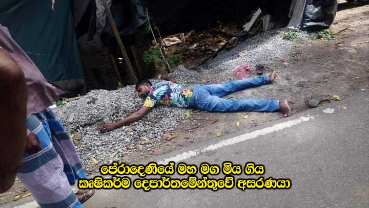 1-Peradeniya-Agri-Dept-person-Dead.jpg