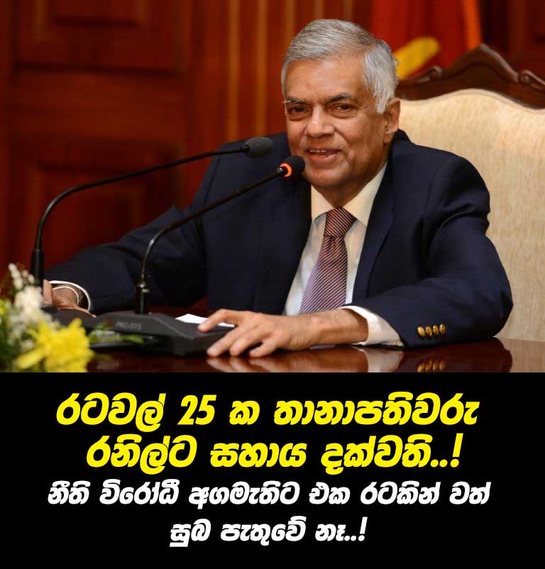 25-ambosiders-supports-to-PM-Ranil.jpg