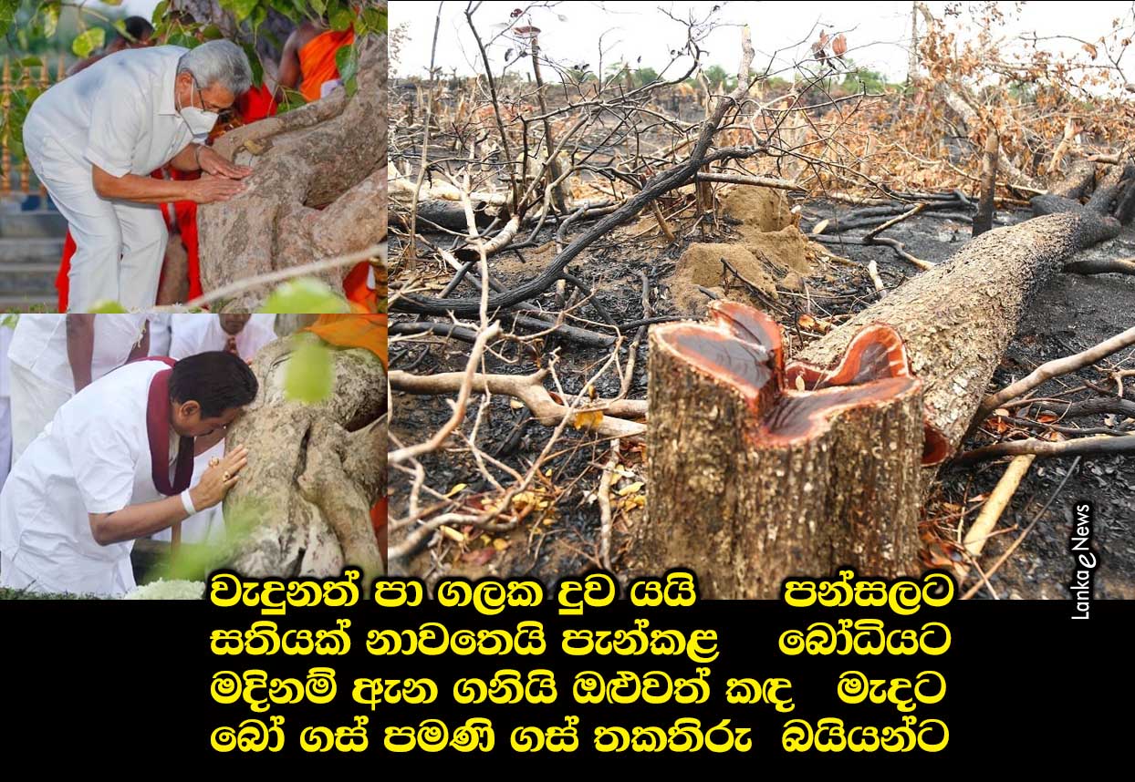 Bo-gas-Pamani-gas-thakathiru-Baiyanta.jpg