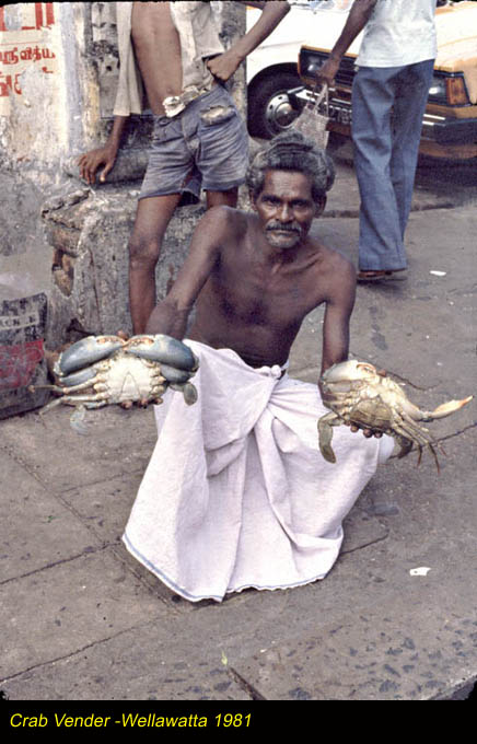 Crab_Vender_-Wellawatta_1981_(1).jpg