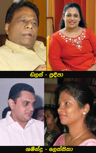 Dallus_Leksika_Family.jpg
