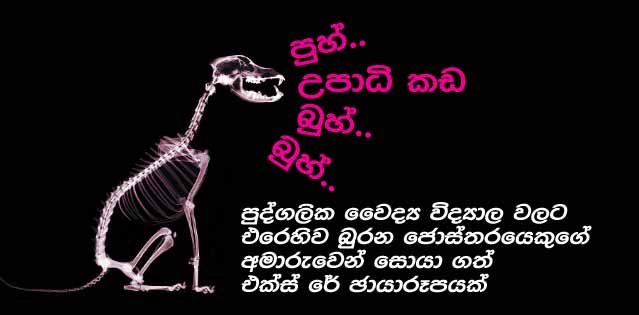 Doctor_padeniya_x-ray.jpg