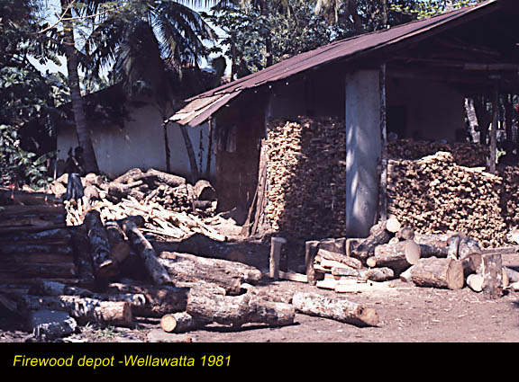 Firewood-Wellawatta-1981.jpg