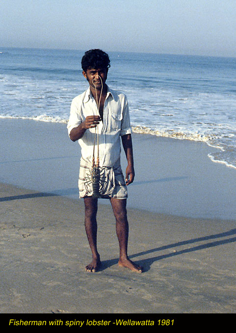 Fisherman_with_spiny_lobster_-Wellawatta_1981_(1).jpg