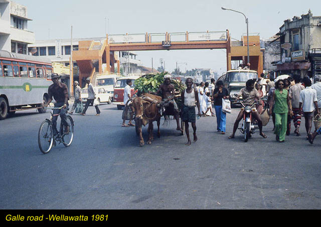 Galleroad-Wellawatta_1981.jpg