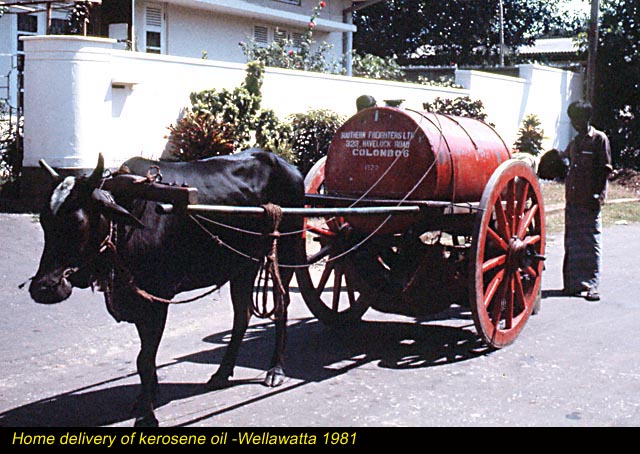 Home_delivery_of_kerosene_oil_-Wellawatta_1981_(1).jpg