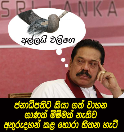 MaRa-Allai_Walige.jpg