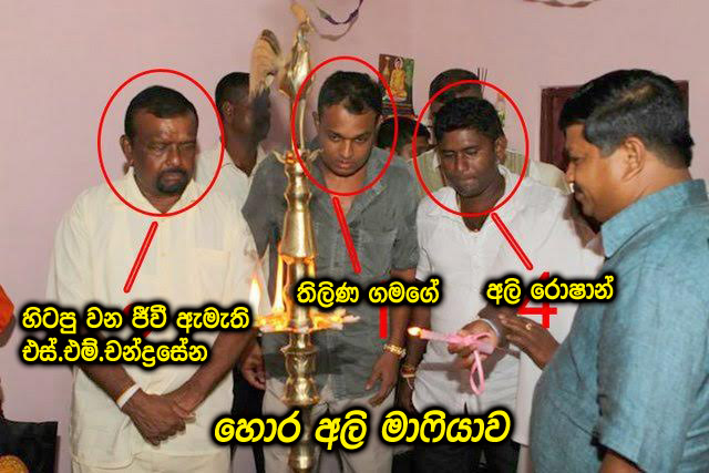 elephant-roughe-Mafia-thilina-aliroshan-chandrasena.jpg